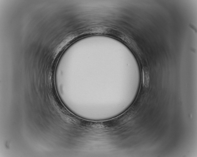 X0000102370483200808221743