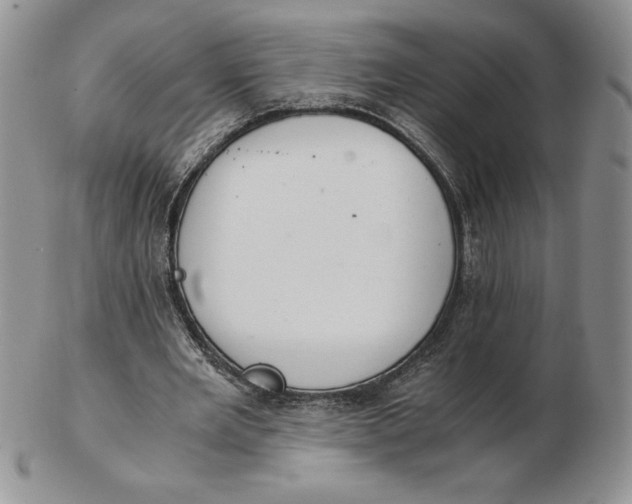 X0000102370485200808221742