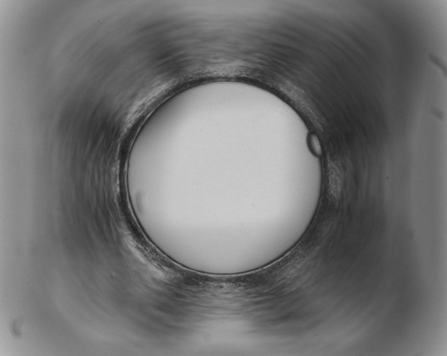 X0000102370486200808221742