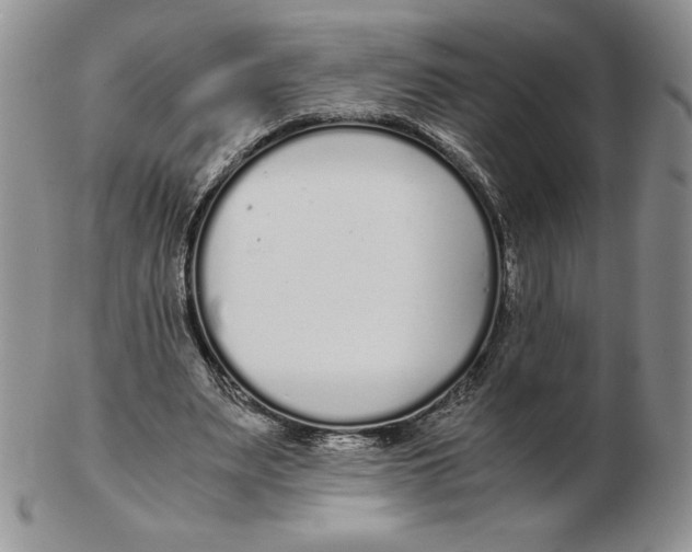 X0000102370487200808221742