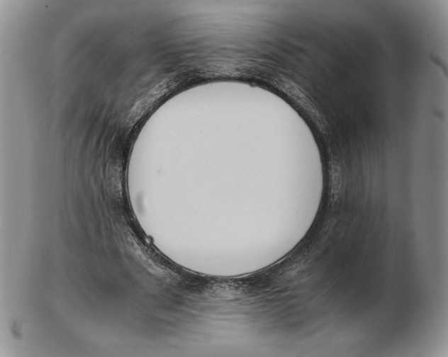 X0000102370489200808221742