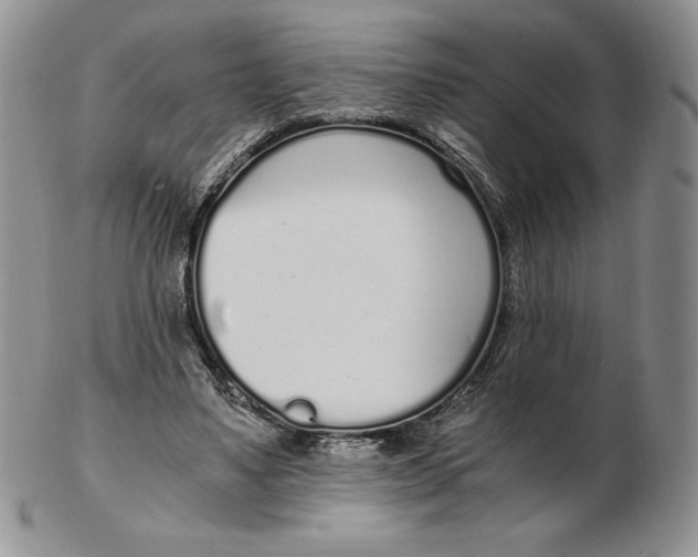 X0000102370491200808221742