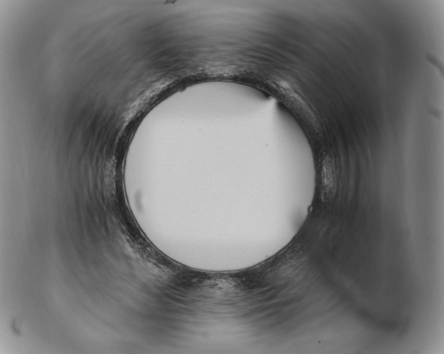 X0000102370492200808221742