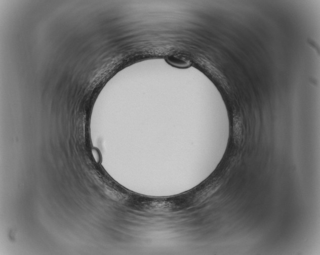 X0000102370493200808221742