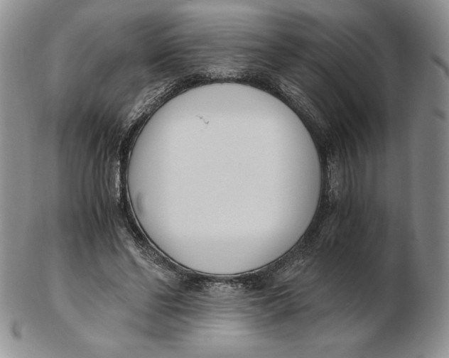 X0000102370494200808221742