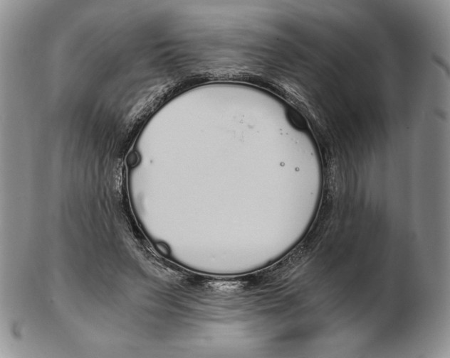 X0000102370495200808221742