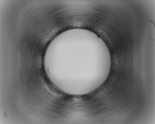 X0000102370496200808221742