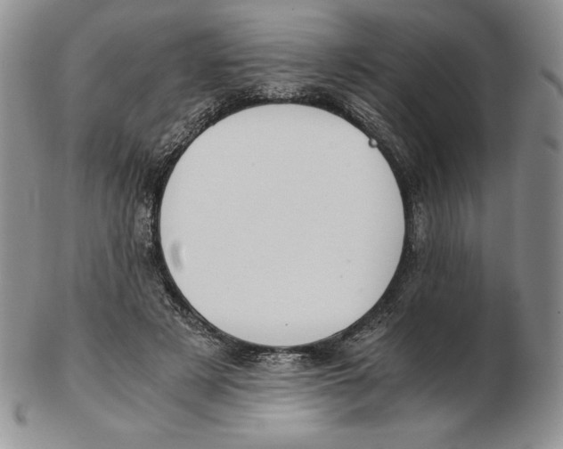 X0000102370497200808221742