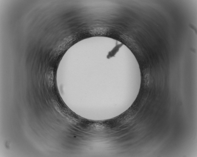 X0000102370498200808221742