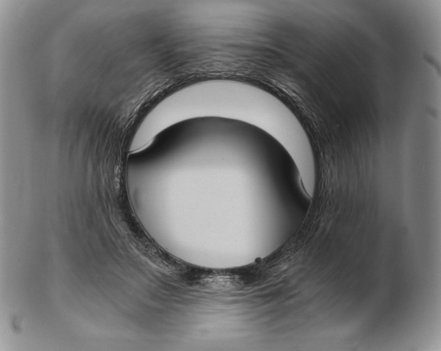 X0000102370499200808221742