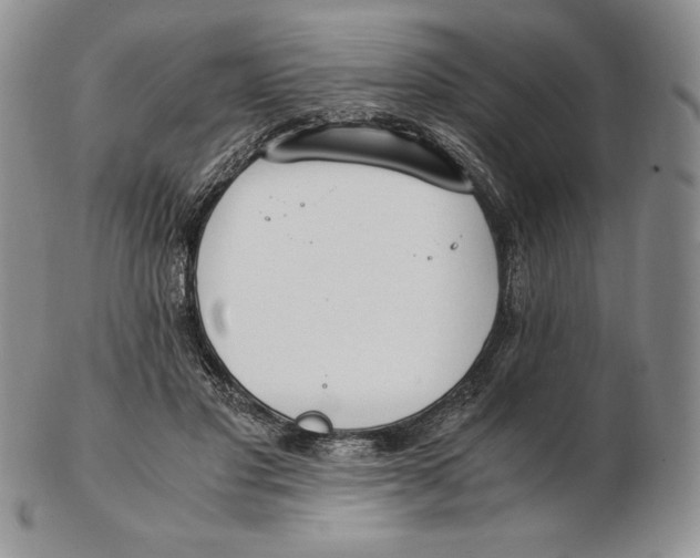 X0000102370501200808221742