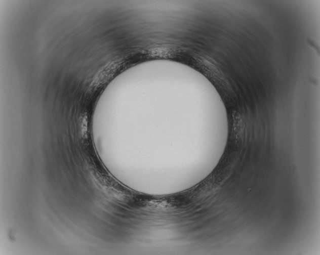 X0000102370502200808221742