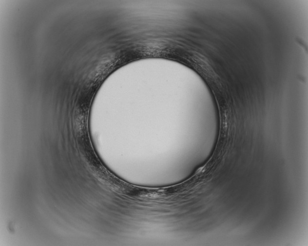 X0000102370503200808221742