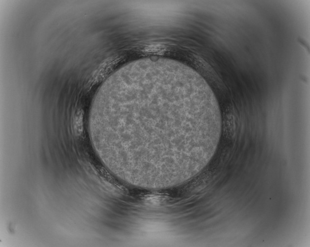 X0000102370504200808221742