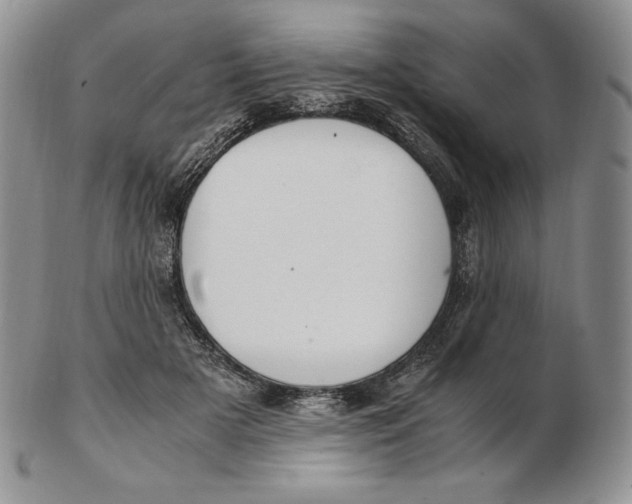 X0000102370505200808221742