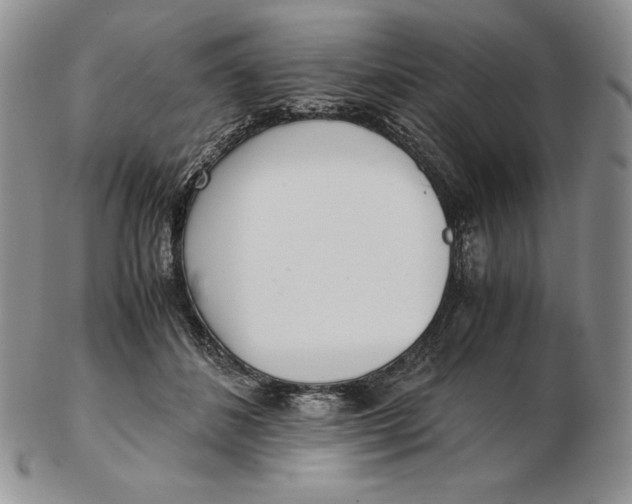 X0000102370508200808221742