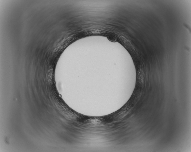 X0000102370509200808221742