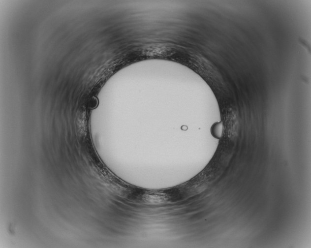 X0000102370510200808221742