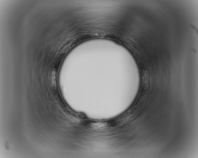 X0000102370511200808221742