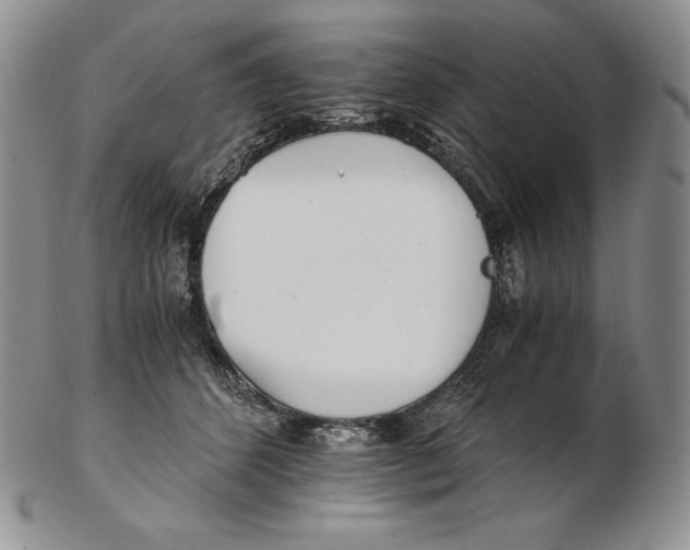 X0000102370512200808221742