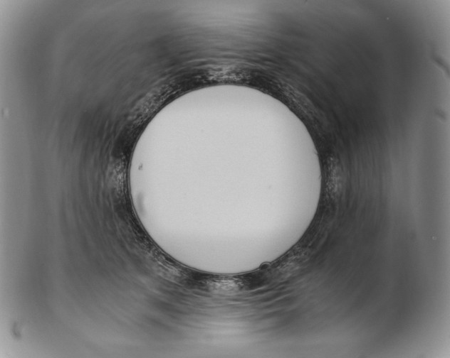 X0000102370513200808221742