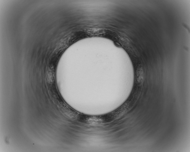 X0000102370515200808221742