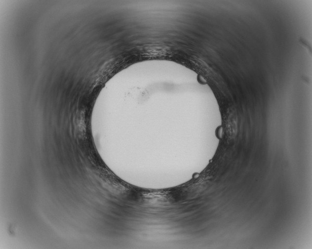 X0000102370516200808221742