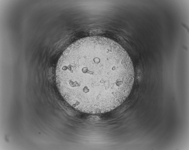 X0000102370519200808221742