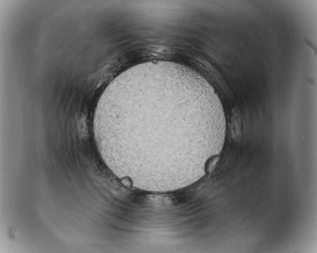 X0000102370520200808221742