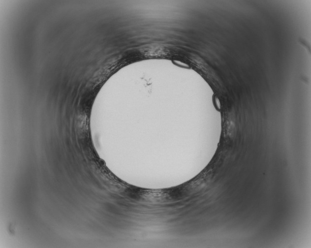 X0000102370521200808221742