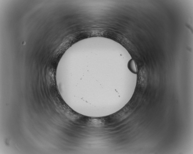 X0000102370522200808221742