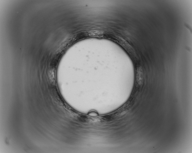 X0000102370523200808221742