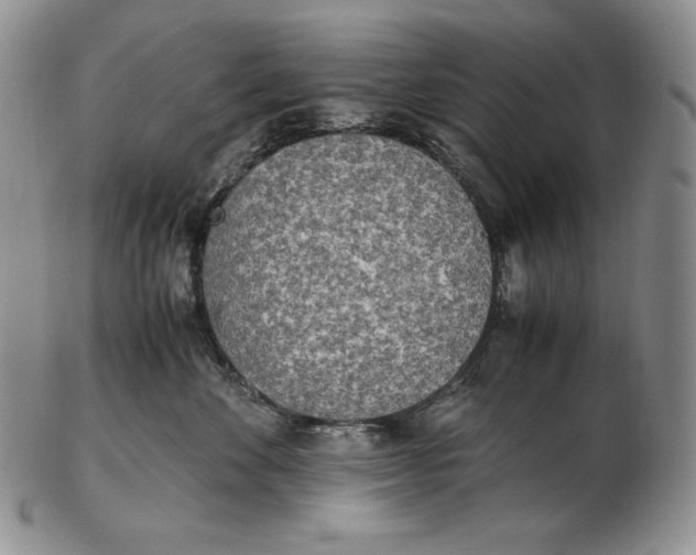 X0000102370524200808221742