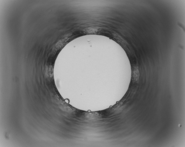 X0000102370525200808221742