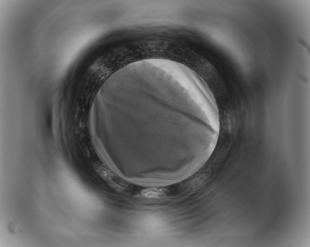 X0000102370526200808221742