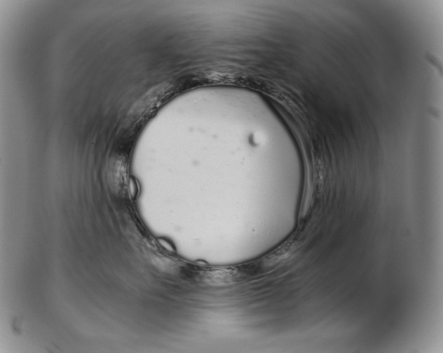 X0000102370527200808221742