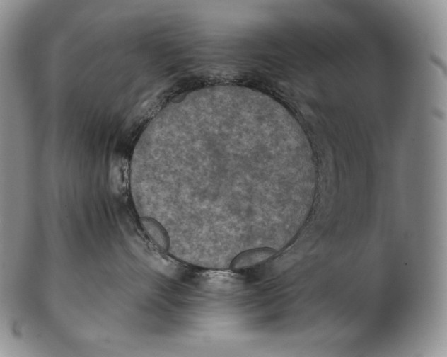 X0000102370528200808221742