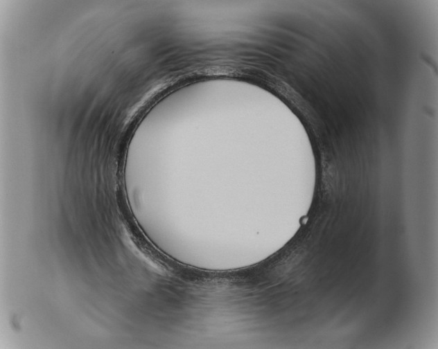 X0000102370530200808221741