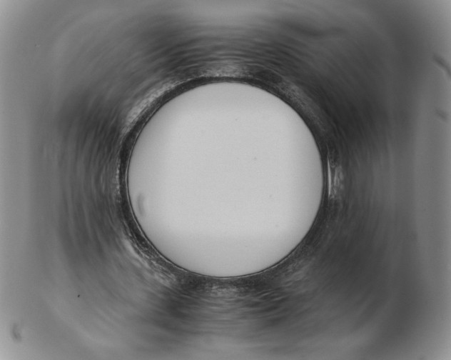 X0000102370531200808221741