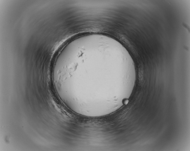 X0000102370532200808221741