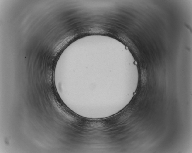 X0000102370533200808221741