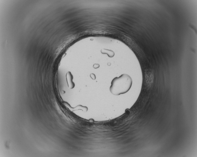 X0000102370534200808221741