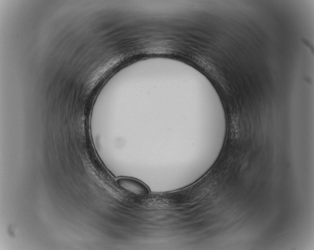 X0000102370535200808221741