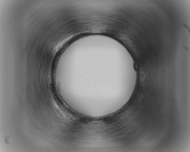 X0000102370536200808221741