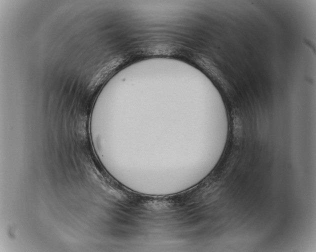 X0000102370537200808221741