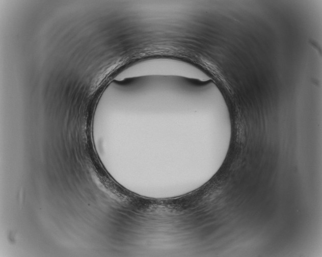 X0000102370538200808221741