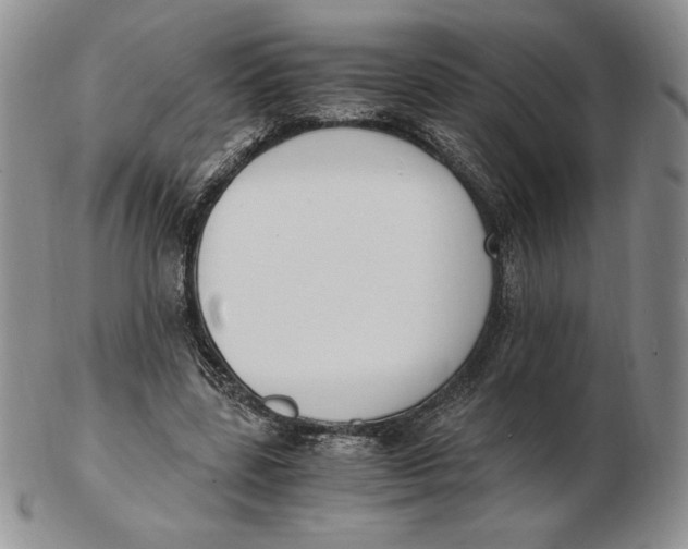 X0000102370539200808221741