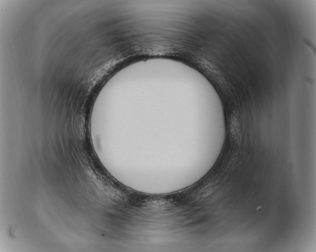 X0000102370540200808221741