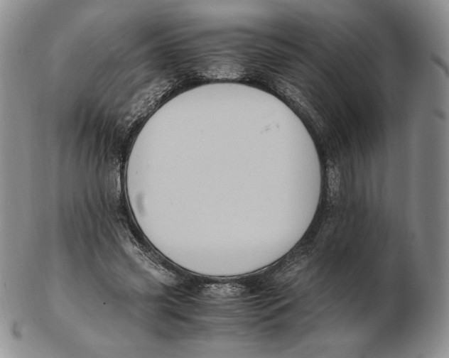 X0000102370541200808221741