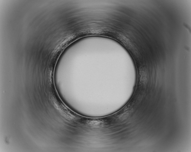 X0000102370542200808221741